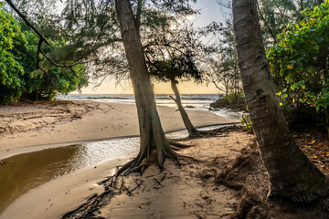 A stream meander towards the sea through a sandy beach with coconut and ironwood trees and shrubs, Mahaulepu Beach, Kauai, Hawaii