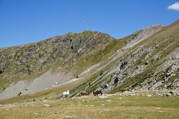 Fototapeta premium Beautiful landscape of the Pyrenees
