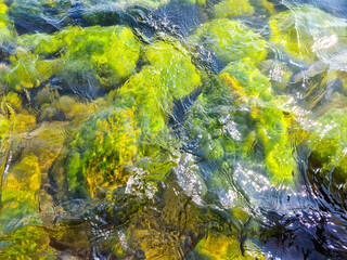 mossy stone near water edge of lake in sunlight. Sunny vivid scenery.