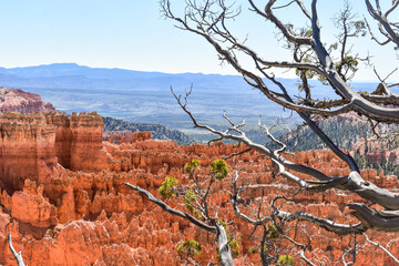 bryce canyon