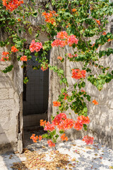 Colorful flowers thriving amidst the decay of an old and abandoned building. Concept of nature reclaiming space.