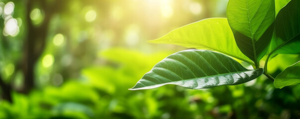 Fototapeta premium The natural beauty of the great outdoors is on full display in this stunning nature banner wallpaper. Macro shot of a leaf, intricate textures and vibrant colors of natural flora. Generative AI