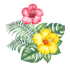 Watercolor hibiscus. Tropical floral illustration