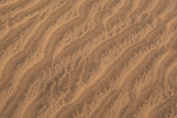 Whispers in the wind: captivating patterns on a desert dune sand texture under sunlight (background)
