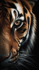 Close-Up of Fierce and Majestic Tiger Eyes, Generative AI