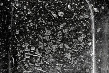 Fototapeta premium monochrome photograph featuring a collection of leaves. Generative AI