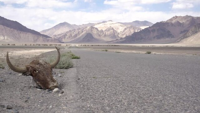 Motard seul sur les chemins en Afghanistan