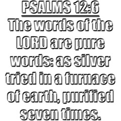 Psalms 12:6 KJV  The words of the LORD are pure words: as silver tried in a furnace of earth, purified seven times.