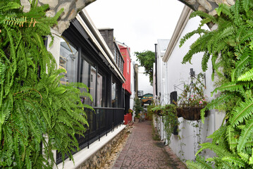 Fototapeta na wymiar Africa- View of a Charming Alley in the South African Village of Franschhoek