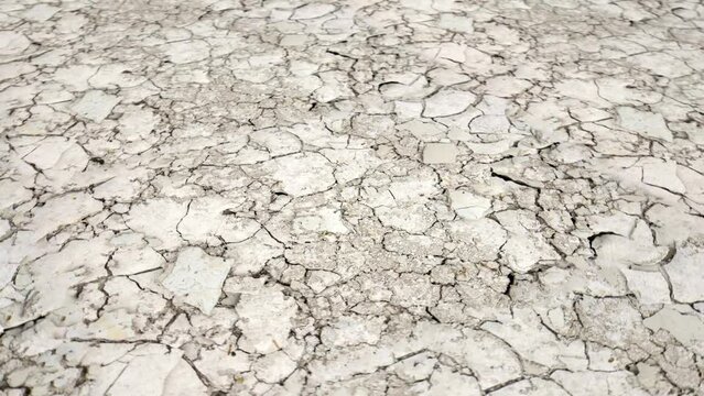Looped animated background of dry and cracked land at 60 FPS