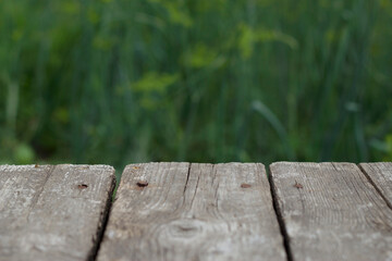 Fototapeta premium wooden bench in summer garden with unfocused dill plants on the background
