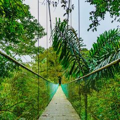 Suspension bridge and nature of Sky Adventures Arenal Park, La Fortuna, Costa Rica. Central America