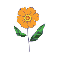 sunflower. Cute floral pattern. Seamless vector texture. An elegant template for fashionable prints. Print with small yellow flowers, green leaves. white background.