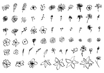 Sketch drawing flower collection. Big set artistic ink brush drawn small flowers. Rose, chamomile, narcissus, lily and other different wild, exotic plants. Field, meadow, tropical vector illustration