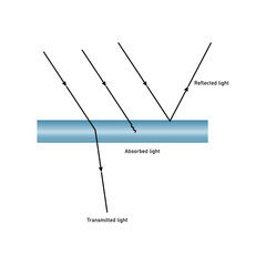 Reflection absorption and transmission of light. Light falls on a surface. Properties of light diagram. Vector illustration isolated on white background.
