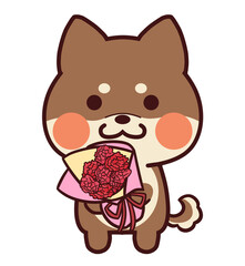カーネーションの花束を持つ胡麻柴犬