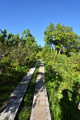 Climbing Mt. Hiuchi in Oze from Miike, Fukushima