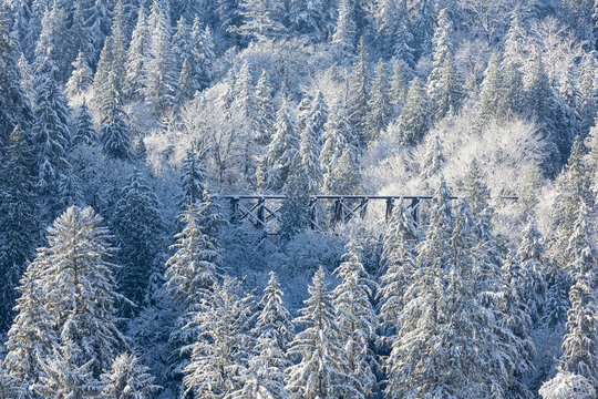 USA, Washington State, Snoqualmie Falls area with fresh snow fallen on Evergreen and railroad trestle