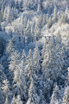 USA, Washington State, Snoqualmie Falls area with fresh snow fallen on Evergreen and railroad trestle