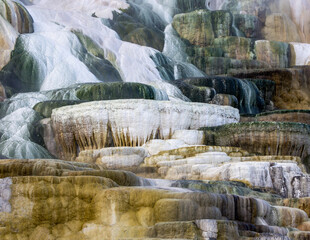 Obraz na płótnie Canvas USA, Wyoming, Yellowstone National Park. Mammoth Hot Springs