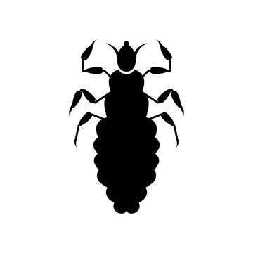 black louse insect silhouette on white clip art preview