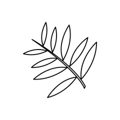 Willow leaf icon. willow leaf vector illustration on white background 