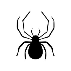  spider vector icon, vector Tiny little spider illustration on white background..eps