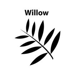 Willow leaf icon. willow leaf vector illustration on white background..eps © Sejal
