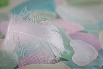 USA, Washington State, Seabeck. Feather and beach glass close-up.