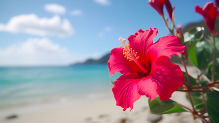 沖縄県石垣市の三川食堂で味わう島の恵みと温かなひととき