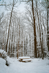 Snow-covered picnic table in Coopers Rock State Forest, West Virginia