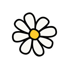 flower isolated on white