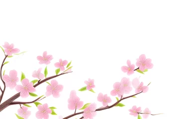 Foto op Canvas Watercolor colorful flowers on transparent background. Green and pink bright spring illustration. © Hana