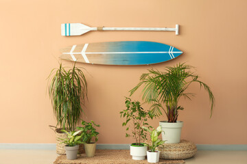Houseplants and surfboard with paddle hanging on beige wall in room