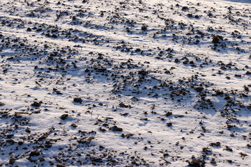 Plowed field soil in winter in cold weather