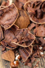 fresh crop of pecans on the surface