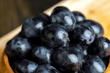 Fresh wet grapes of blue color