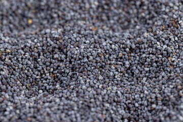 a close-up of a pile of poppy seeds used in cooking