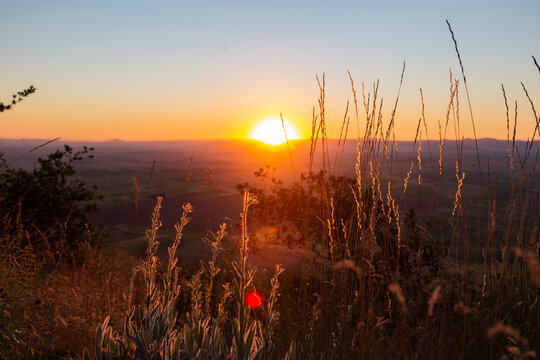 Sunrise Glow on Grasses