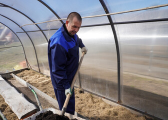 A man works in a vegetable garden in early spring.  Digs the ground.   Working in a greenhouse