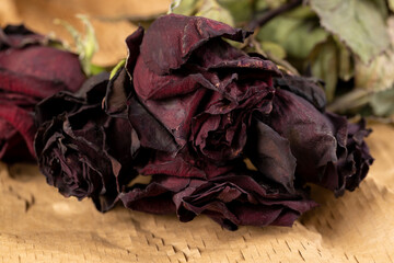 An old dry rose with crumbs from dry petals