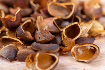 a bunch of pine nuts in the shell