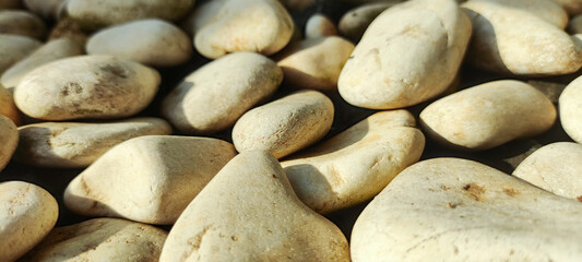 A pile of white rocks
