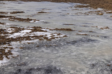 the soil prepared for sowing in the field at the end of winter
