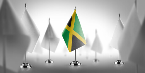 The national flag of the Jamaica surrounded by white flags