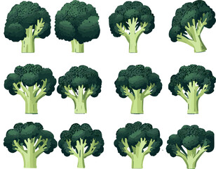 Broccoli icon set vector icon