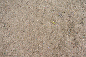 Old White Raw Concrete Wall Texture Background Suitable for Presentation, Paper Texture, and Web Templates with Space for Text