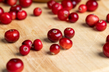 Red ripe cranberries harvested in swamps