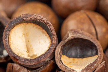 A bunch of ripe macadamia nuts in a hard shell