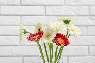 Beautiful gerbera flowers on white brick background, closeup